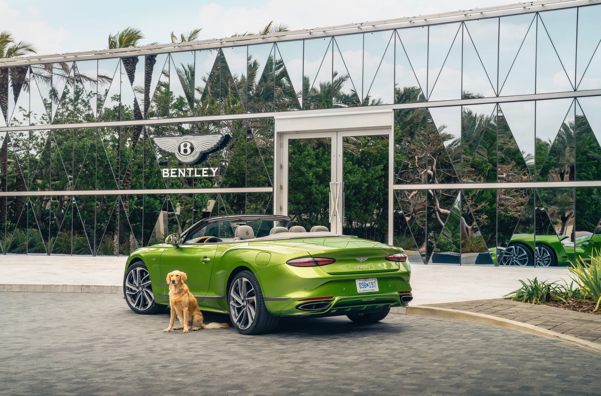 Bentley Residences Miami, pet spa